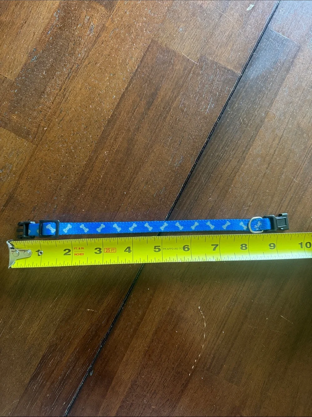 Xtra small Blue Nylon adjustable dog Collar with gray bone Accents